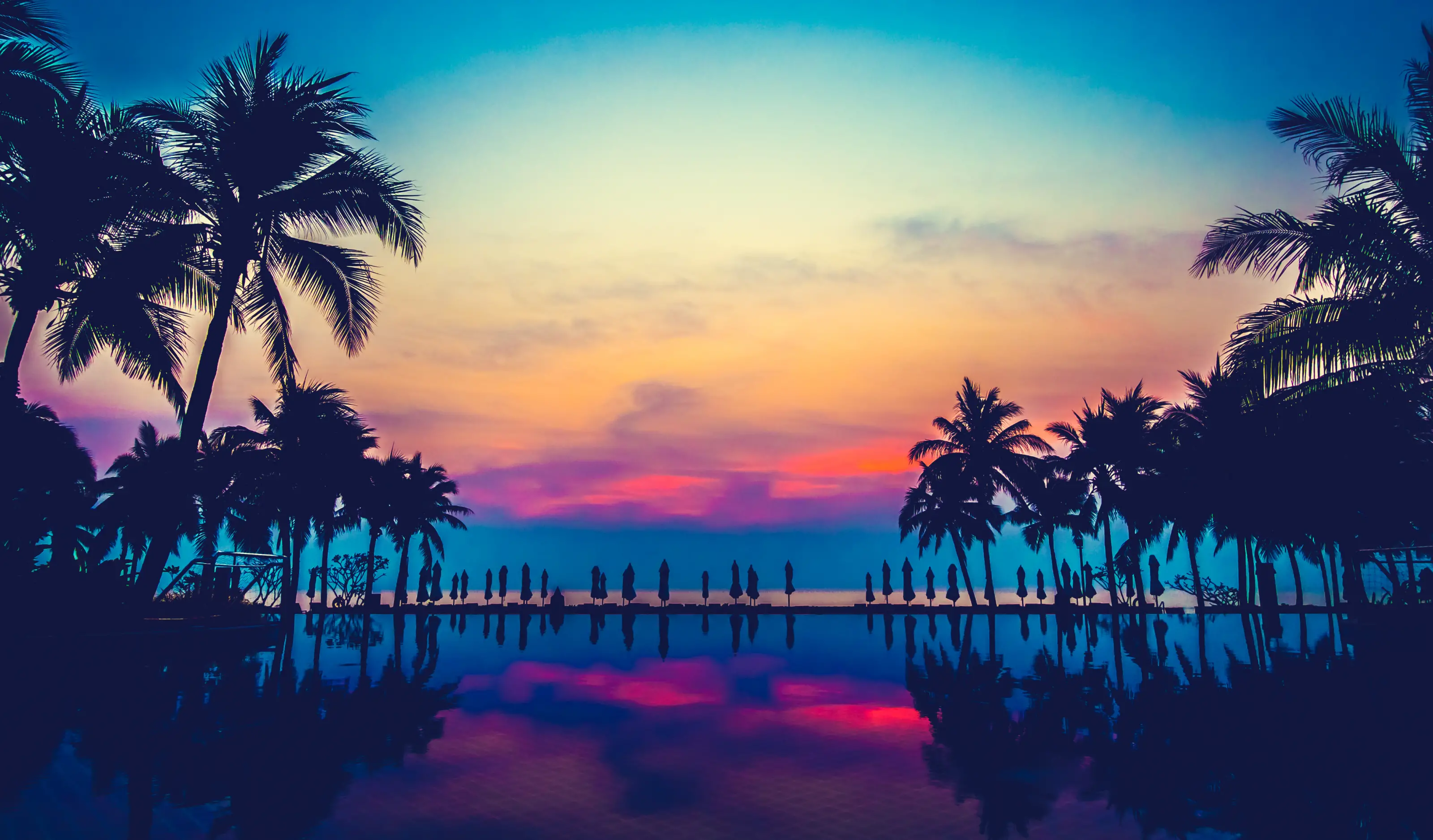 banner-image