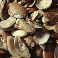 golavaslim
